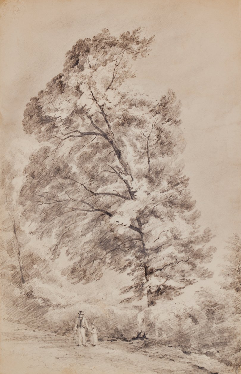 Paesaggio con alberi da Edward Pretty