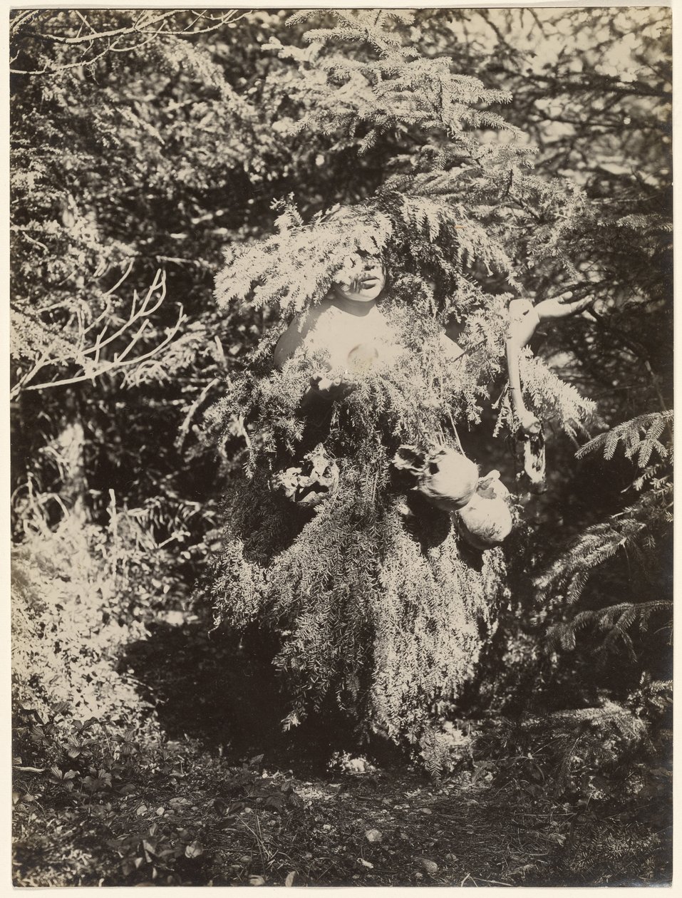 [Danzatore fantasma - Kwakiutl] da Edward S. Curtis