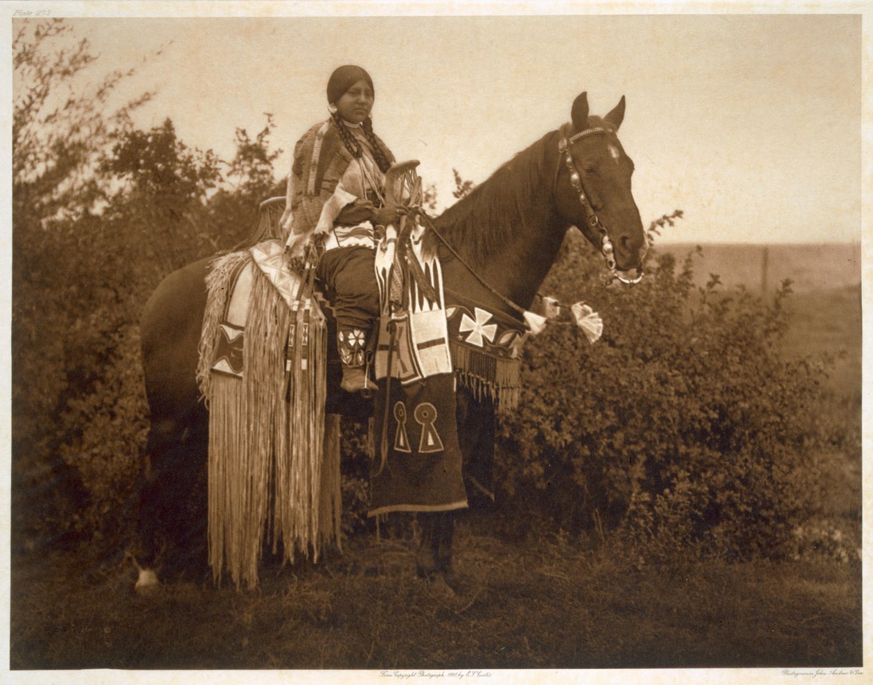 Addobbi Festivi - Cayuse da Edward Sheriff (after) Curtis