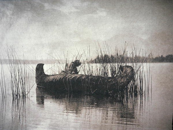Il raccoglitore di canne, Montana da Edward Sheriff Curtis