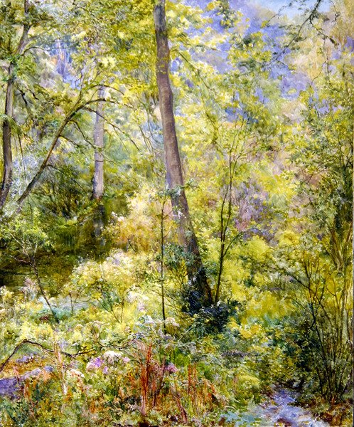 Luce Solare Screziata, Boschi di Sheepscombe da Edward Steel Harper
