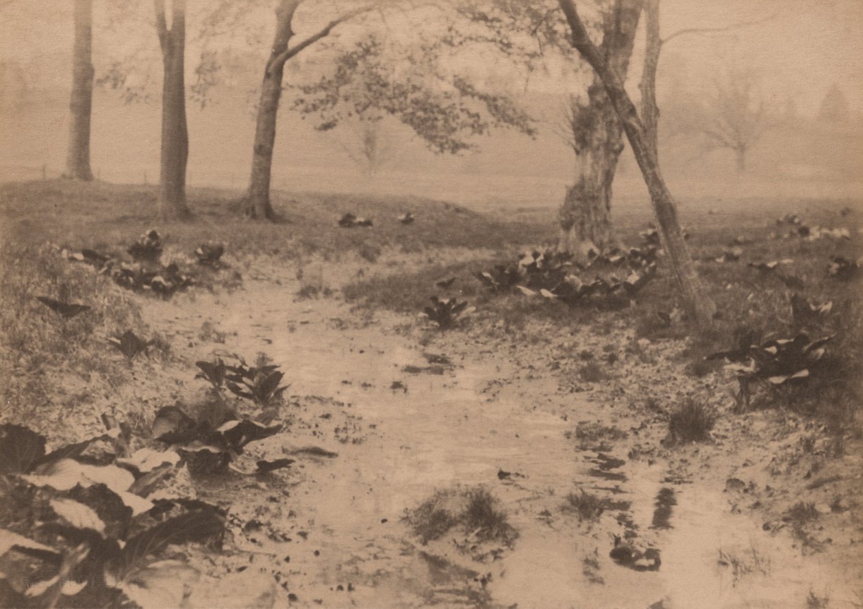 Paesaggio di primavera, anni 1890 (foto) da Edward Willis Redfield