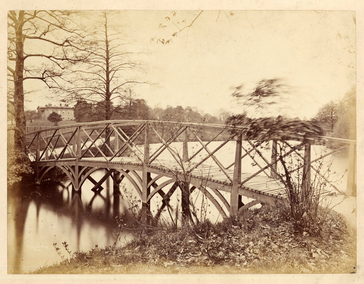 Roundhay Park da Edward Wormald