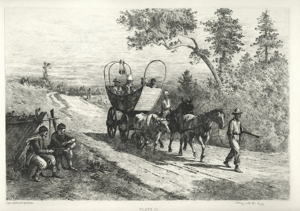 Stampa di una carrozza trainata da un bue, un mulo e un cavallo da Edwin Austin Forbes