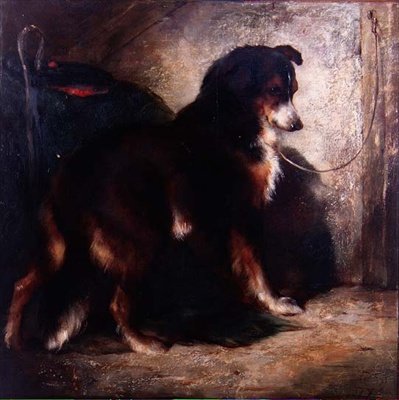 Il collie del pastore da Edwin Douglas