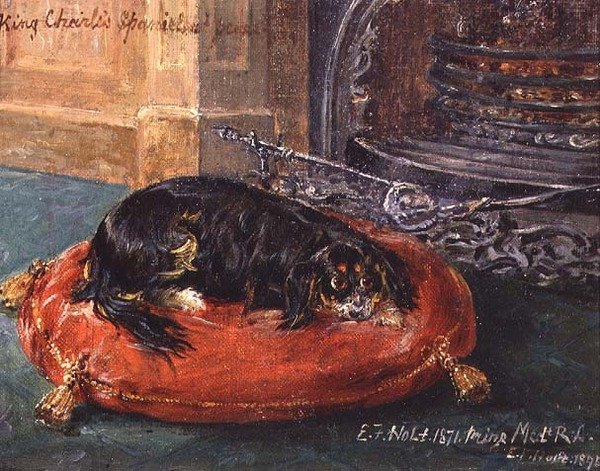 Re Carlo Spaniel a Riposo da Edwin Frederick Holt