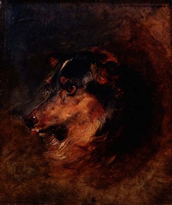 Studio della testa di un cane Collie da Edwin Landseer