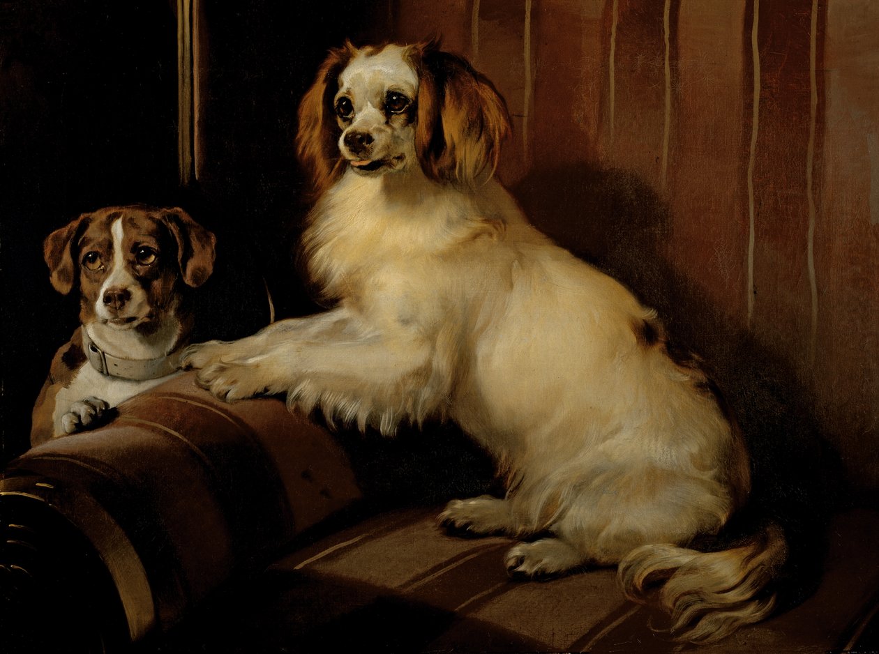 Bon(e)y e Var, c.1843 da Edwin Landseer