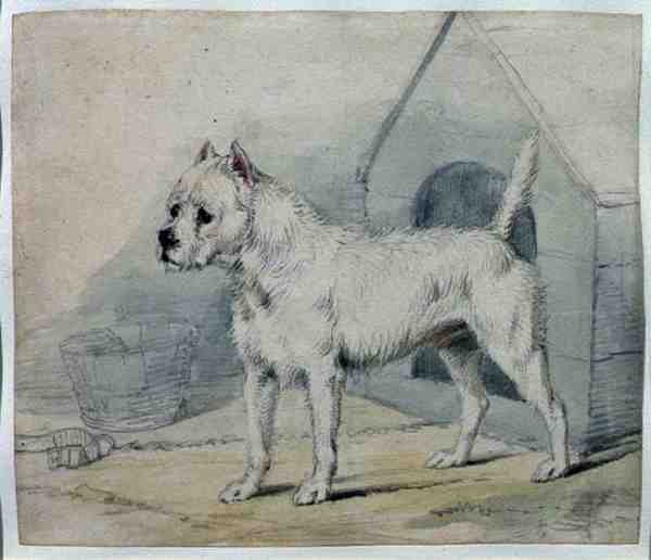 Cane fuori da una cuccia da Edwin Landseer