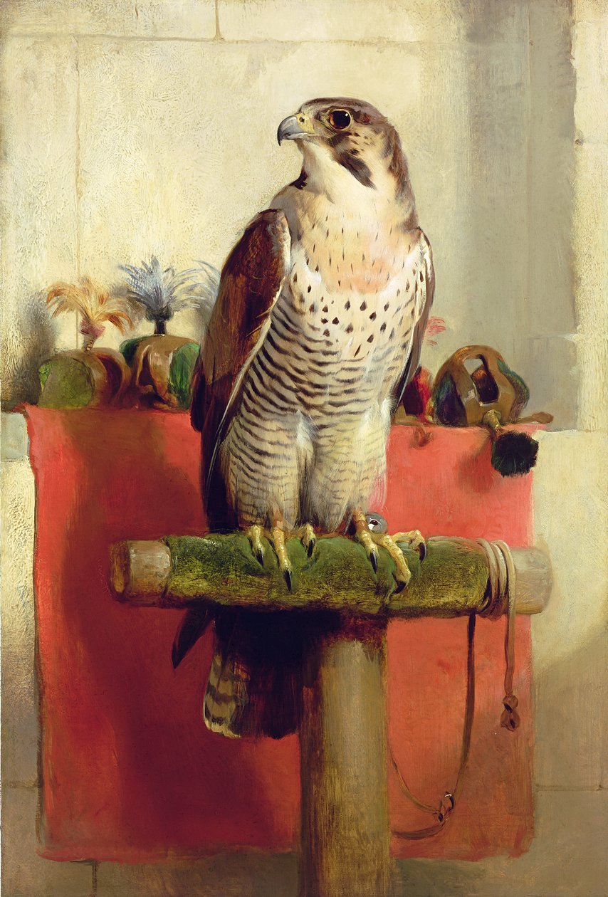 Falco, 1837 da Edwin Landseer