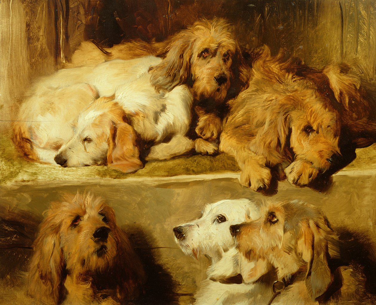 Segugi in un canile da Edwin Landseer
