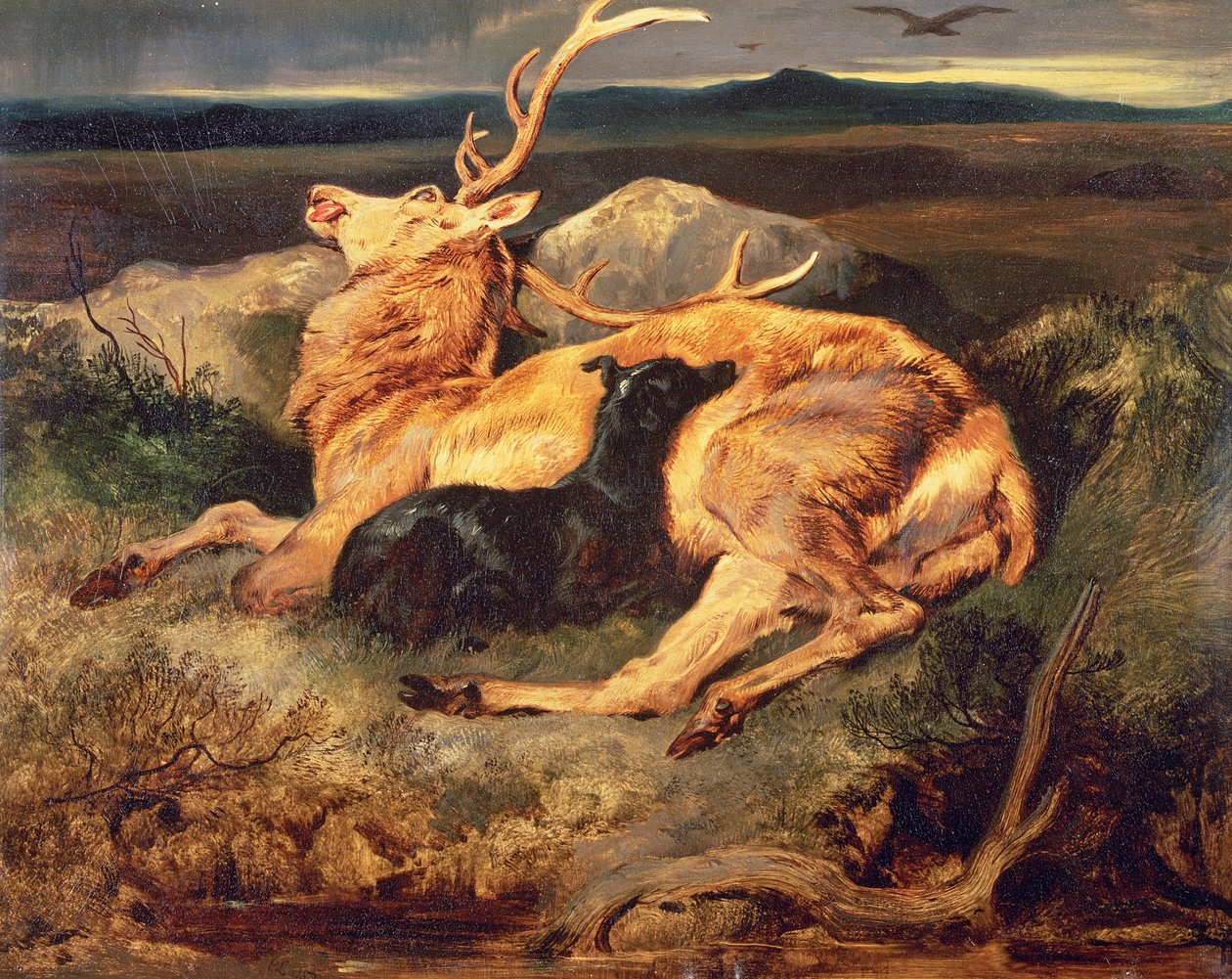 Cervo da Edwin Landseer