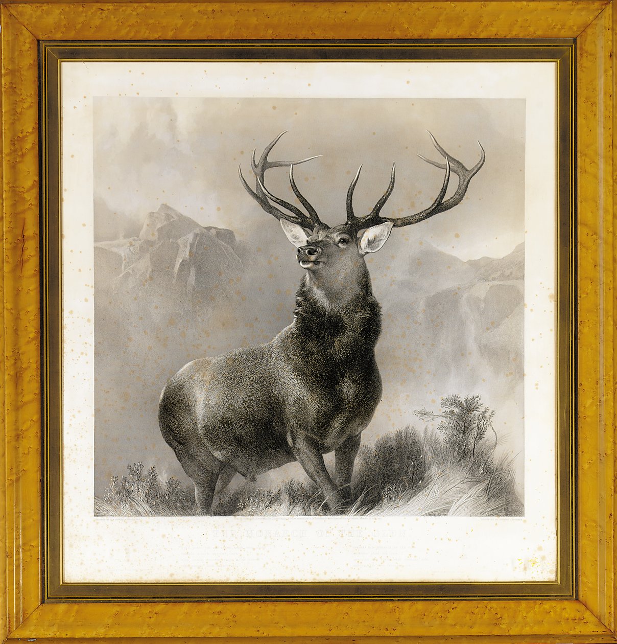 Il monarca della valle, 1852 da Edwin Landseer