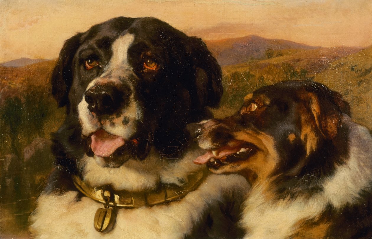 I due cani da Edwin Landseer