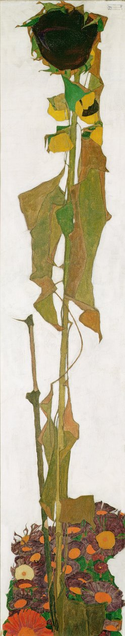 Girasole da Egon Schiele