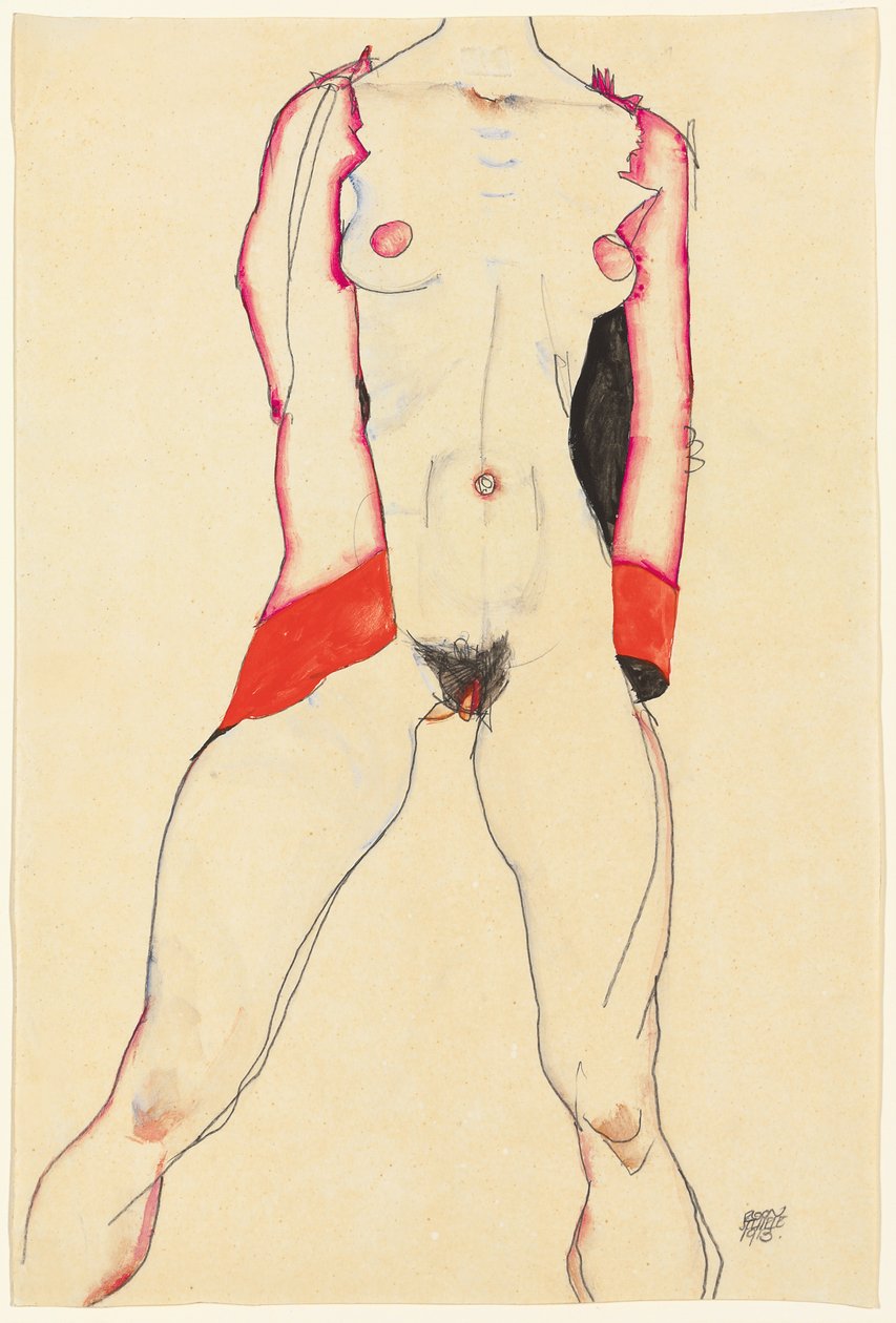 Torso femminile da Egon Schiele