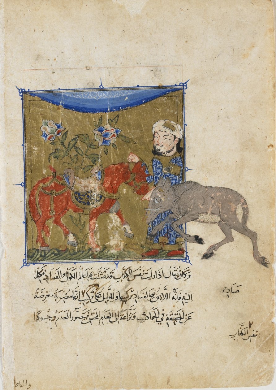 Il cinghiale e il cavallo, foglio da un Sulwan al-Muta di Ibn Zafar, dinastia Mamelucca da Egyptian