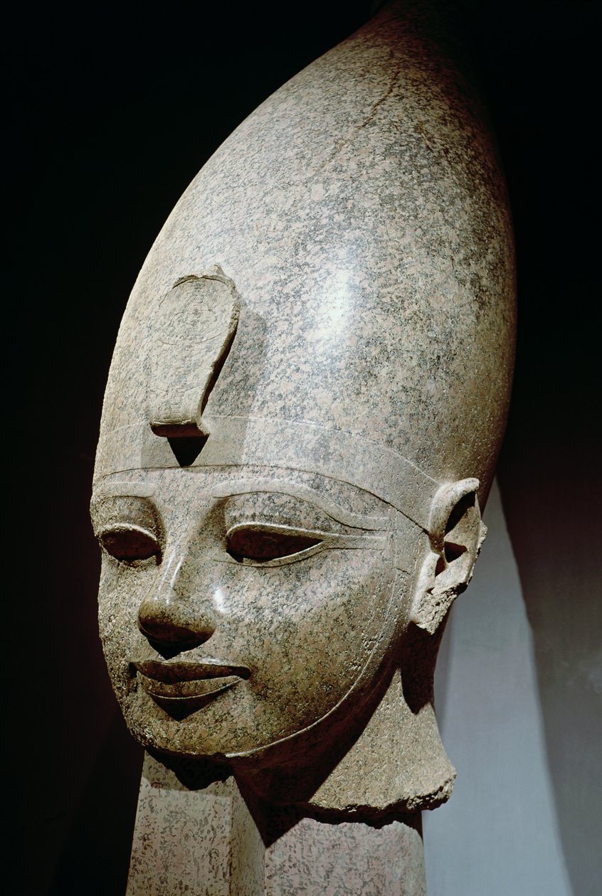 Testa colossale di Amenhotep III da Egyptian 18th Dynasty