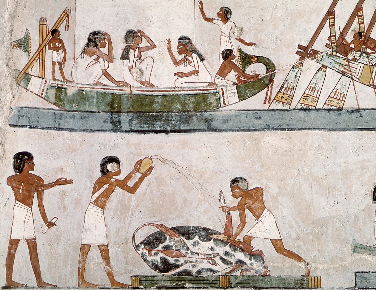 Sacrificio e Purificazione di un Toro, e un Rituale di Navigazione, dalla Tomba di Menna da Egyptian 18th Dynasty