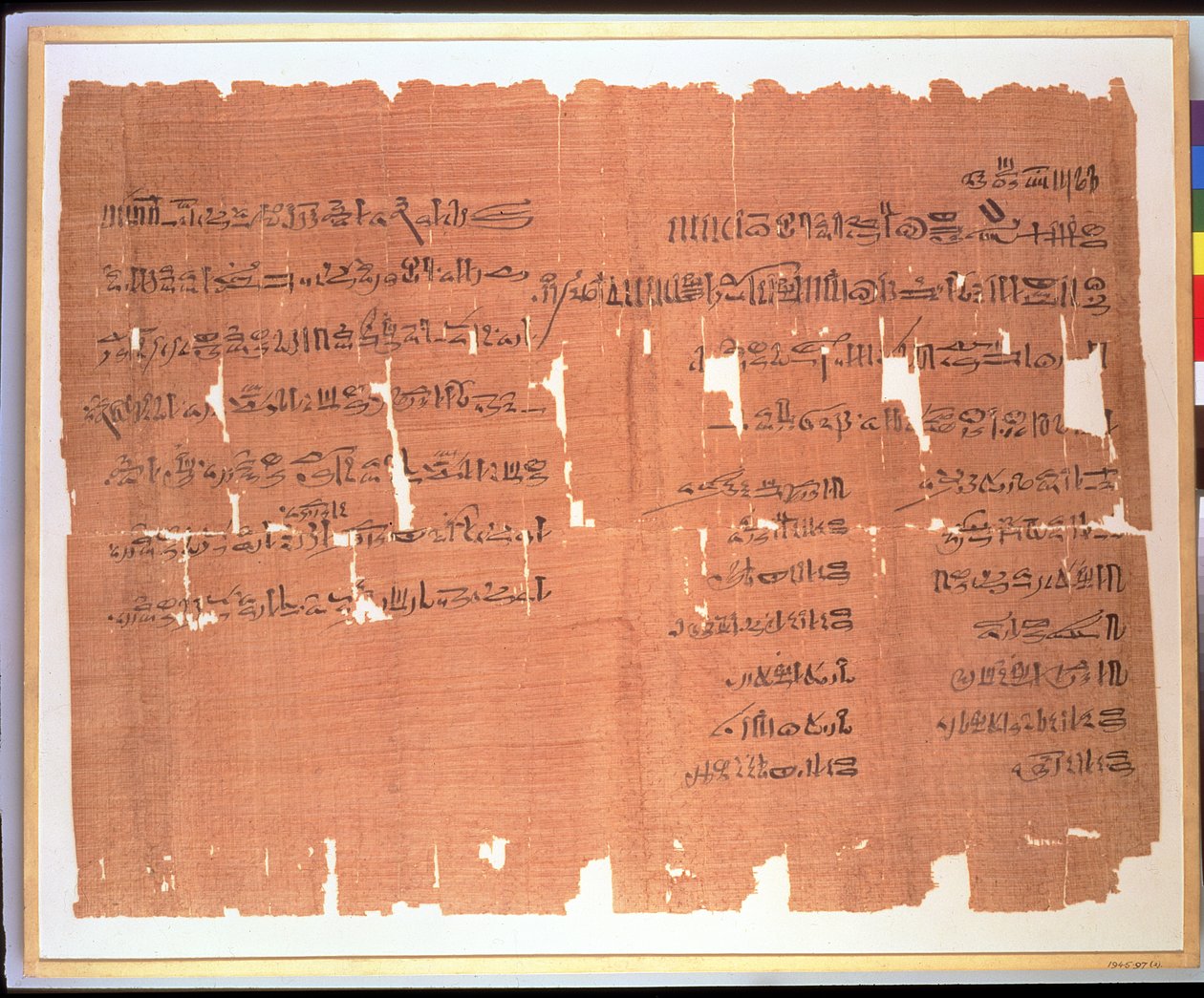 Testamento fatto da una signora tebana di nome Naunakhte, che distribuisce la sua proprietà tra i figli dei suoi due matrimoni, iscrizione ieratica, c.1156-51 a.C. da Egyptian 20th Dynasty