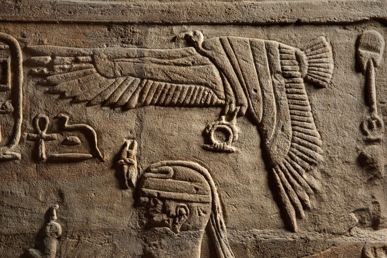 Rilievo su un santuario eretto dal Faraone Taharqa nel cortile del Tempio di Amon costruito da lui a Kawa in Nubia, XXV Dinastia, Periodo Tardo, 690-64 a.C. (dettaglio) da Egyptian 25th Dynasty