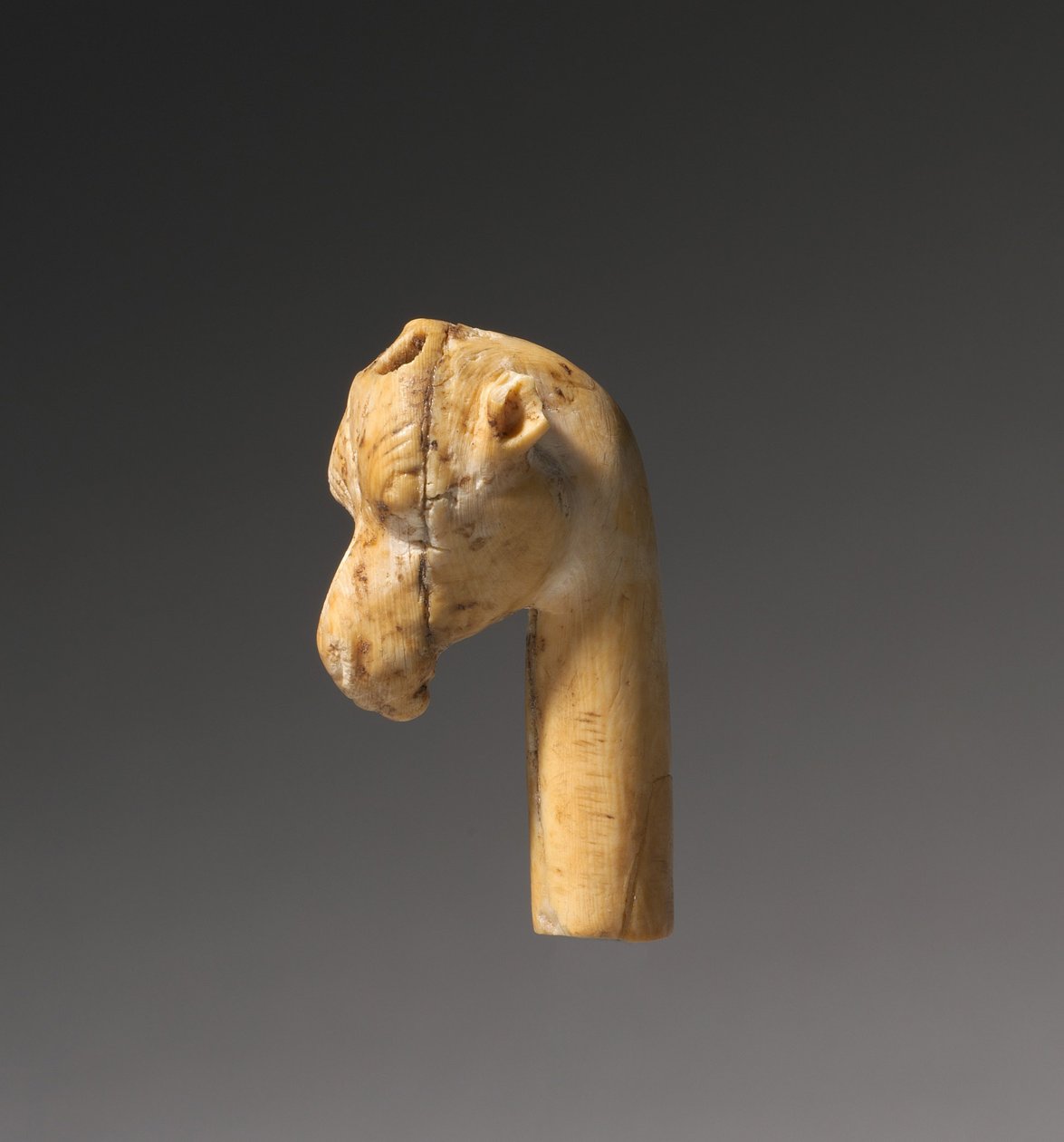 Testa di giraffa, c.1540-1296 a.C. da Egyptian 18th Dynasty