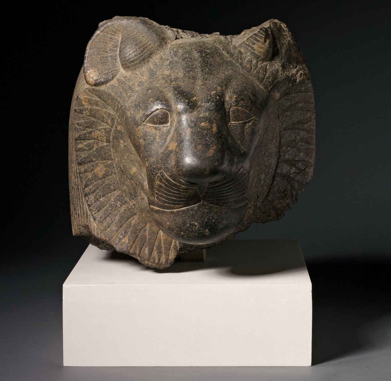 Testa di Sekhmet, Tebe, c.1391-53 a.C. da Egyptian 18th Dynasty