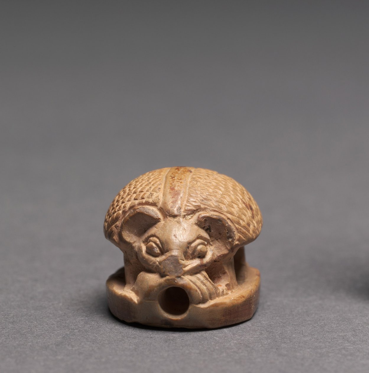 Riccio, c.1391-1353 a.C. da Egyptian 18th Dynasty