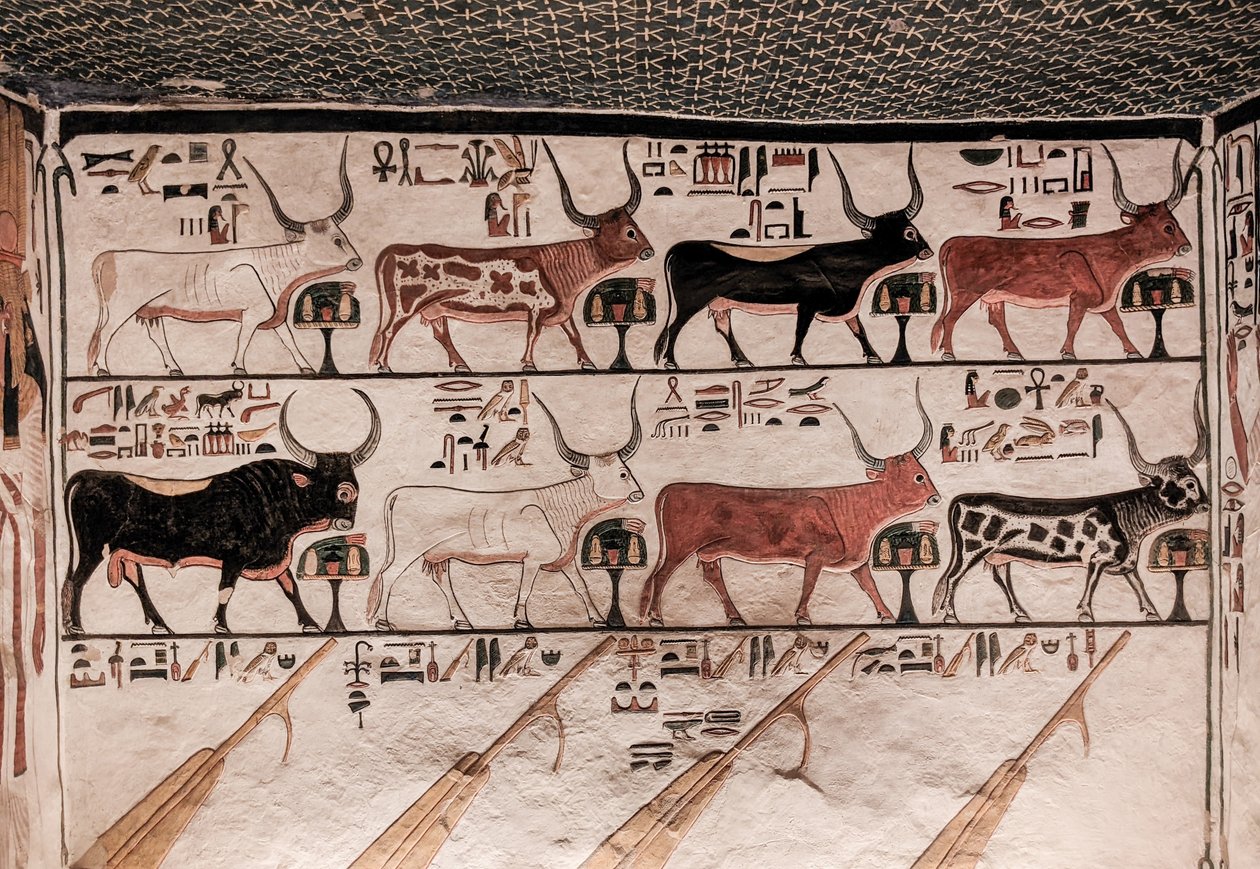 Tomba di Nefertari da Egyptian 19th Dynasty