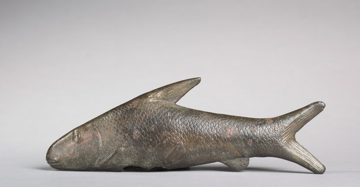 Pesce Lepidotus, periodo greco-romano, 305-30 a.C. da Egyptian Ptolemaic Period