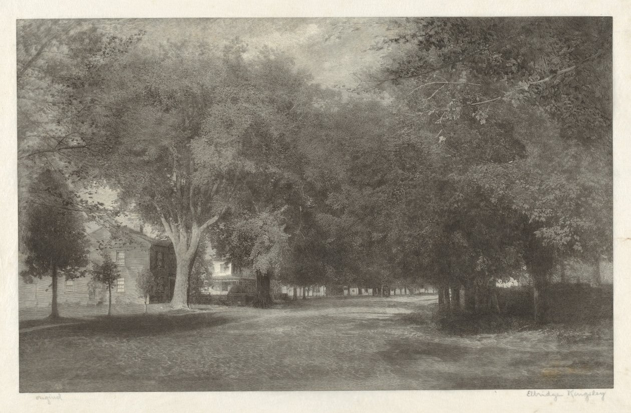 Olmi del New England da Elbridge Kingsley