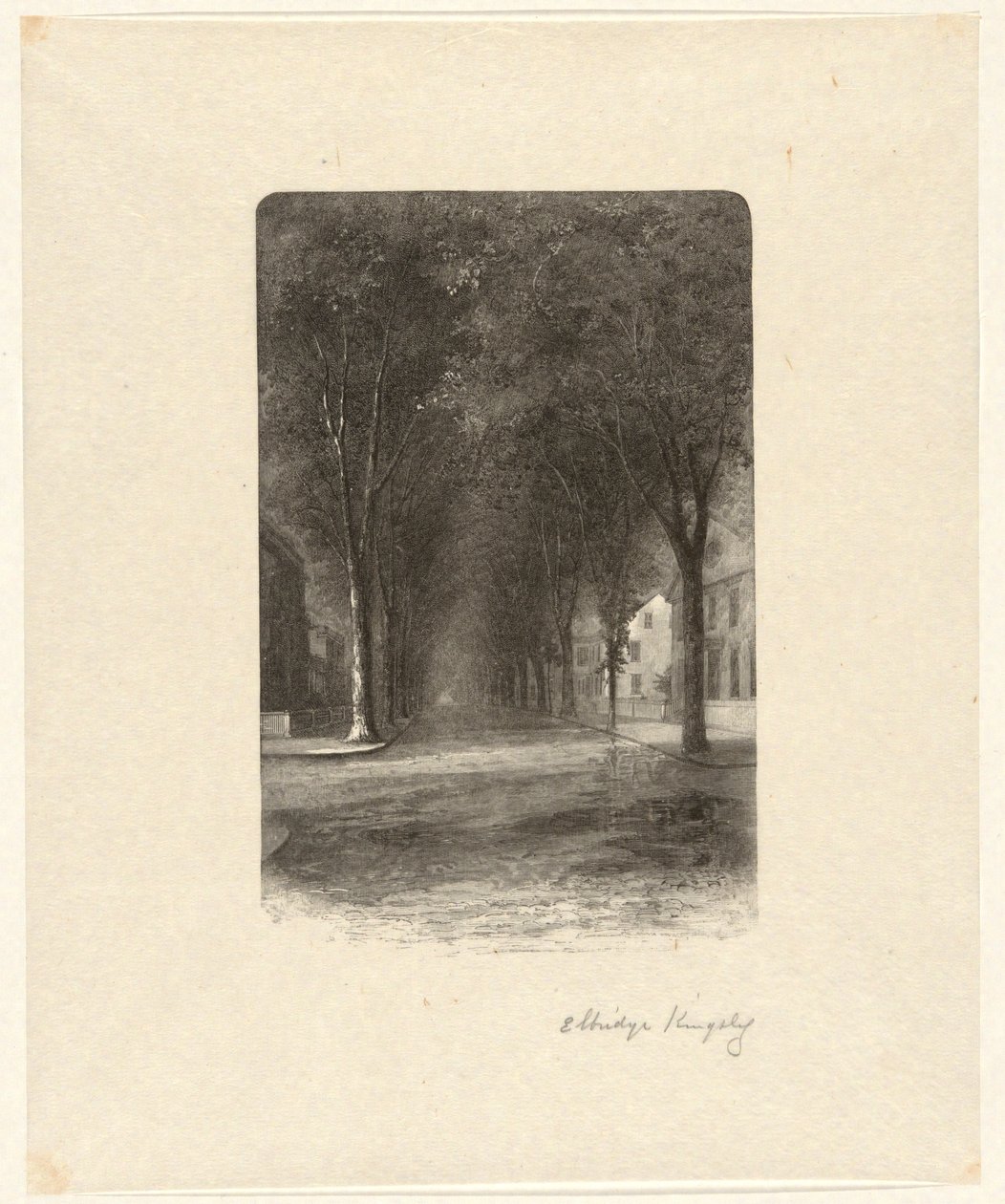Senza titolo [Strada alberata] da Elbridge Kingsley