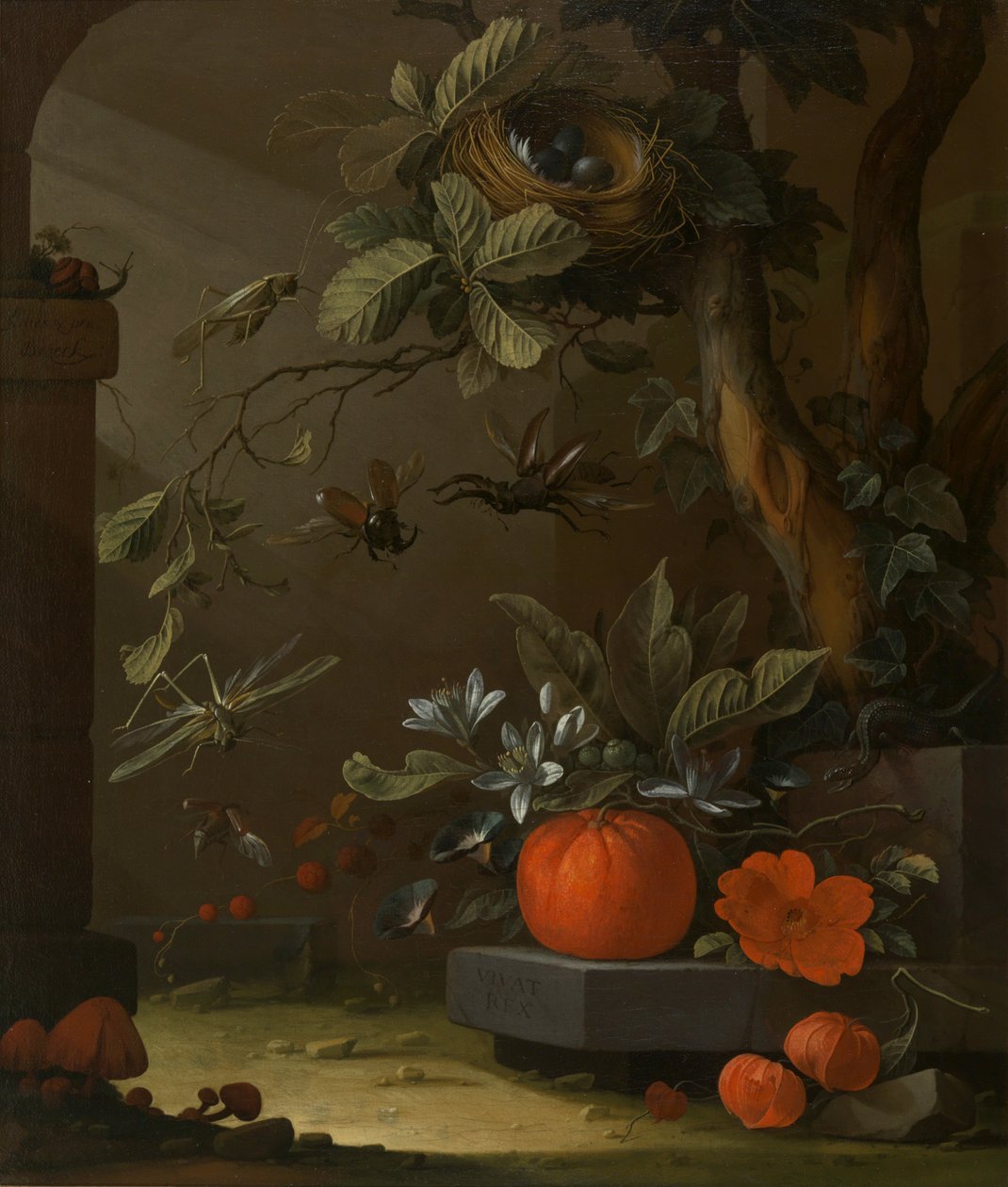 Vivat Rex da Elias van den Broeck