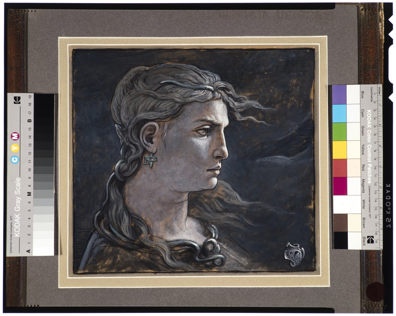 Testa di Medusa, 1878 da Elihu Vedder