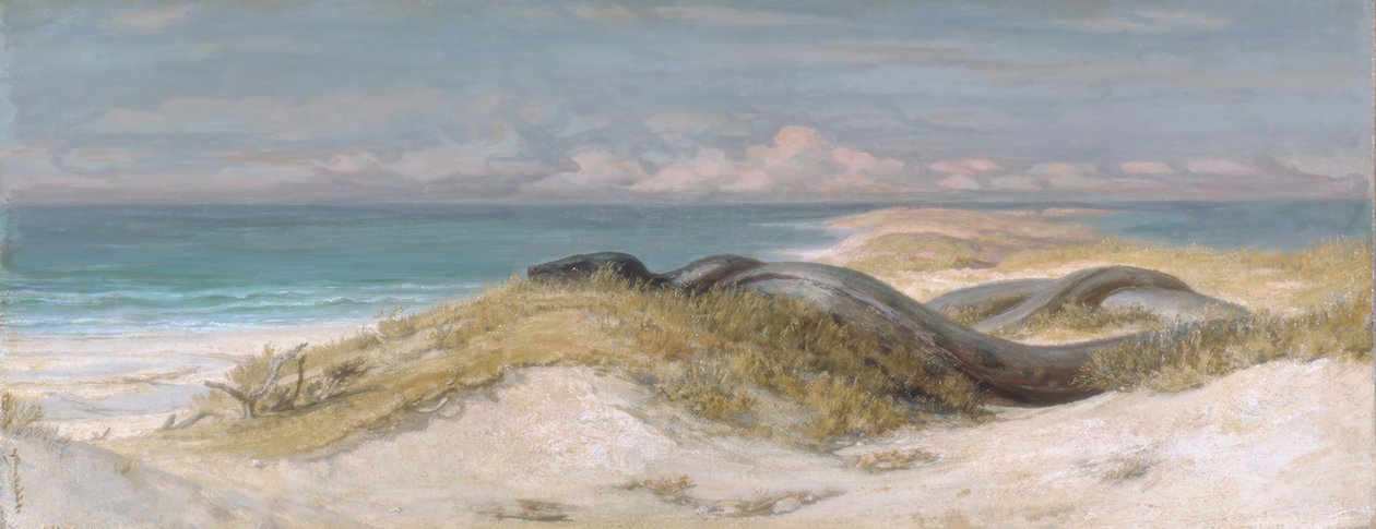 Grotta del serpente marino da Elihu Vedder