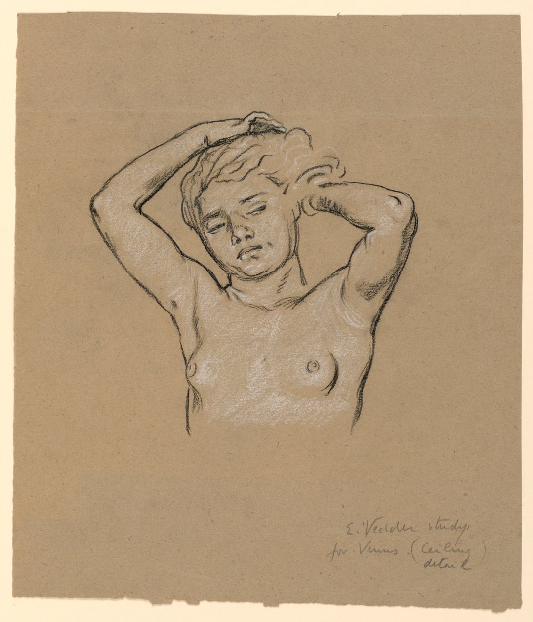 Studio per "Venere" da Elihu Vedder