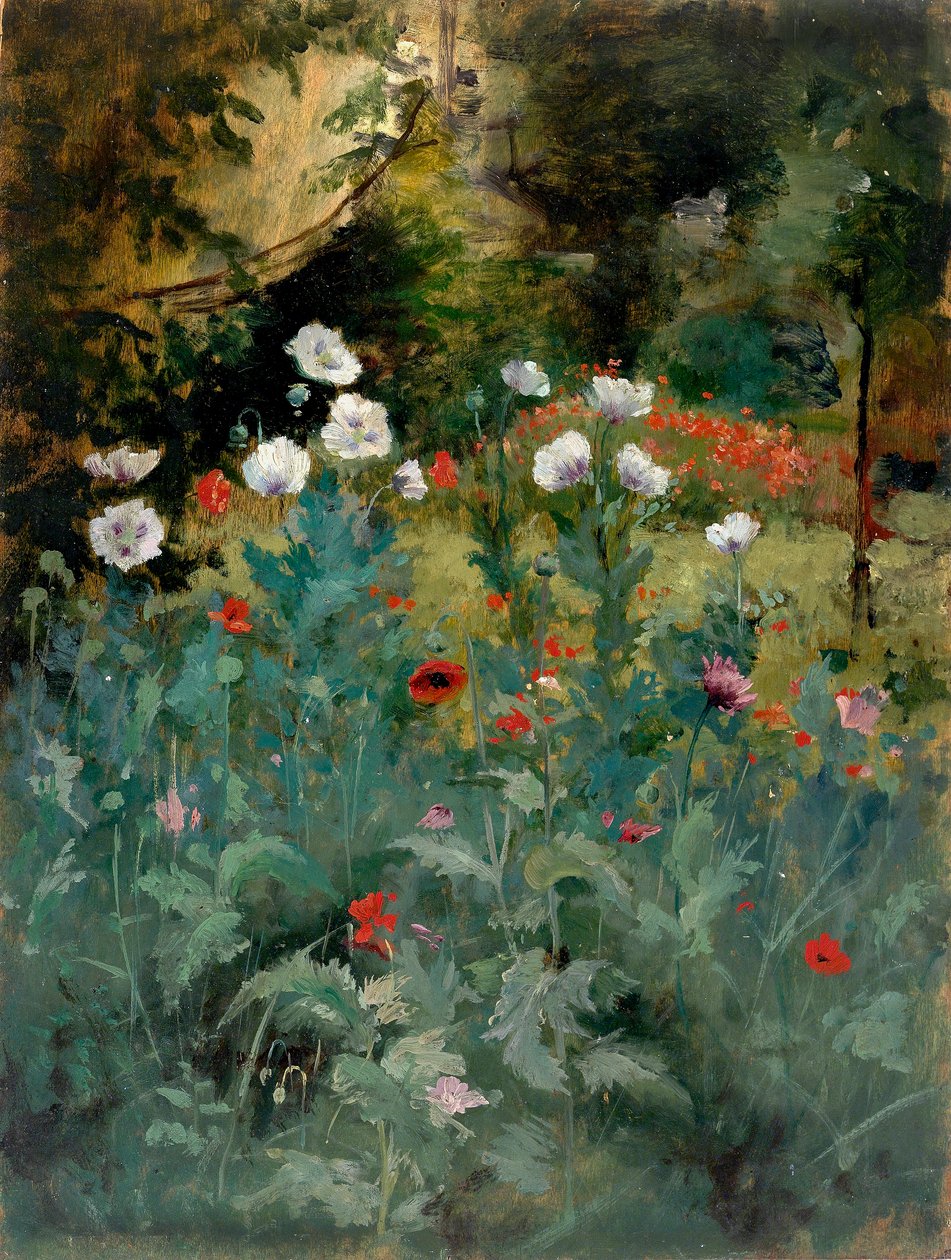 Papaveri da Eliphalet Fraser Andrews