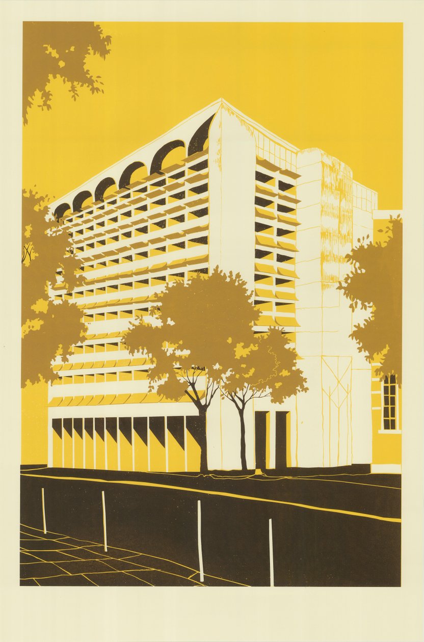 Manaus 1 da Eliza Southwood