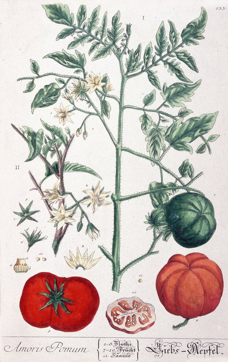 La mela d