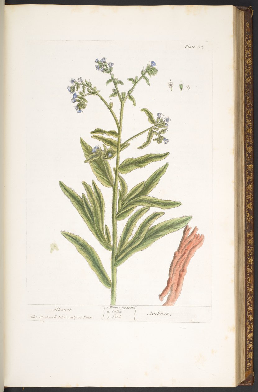 Tavola 112, da 