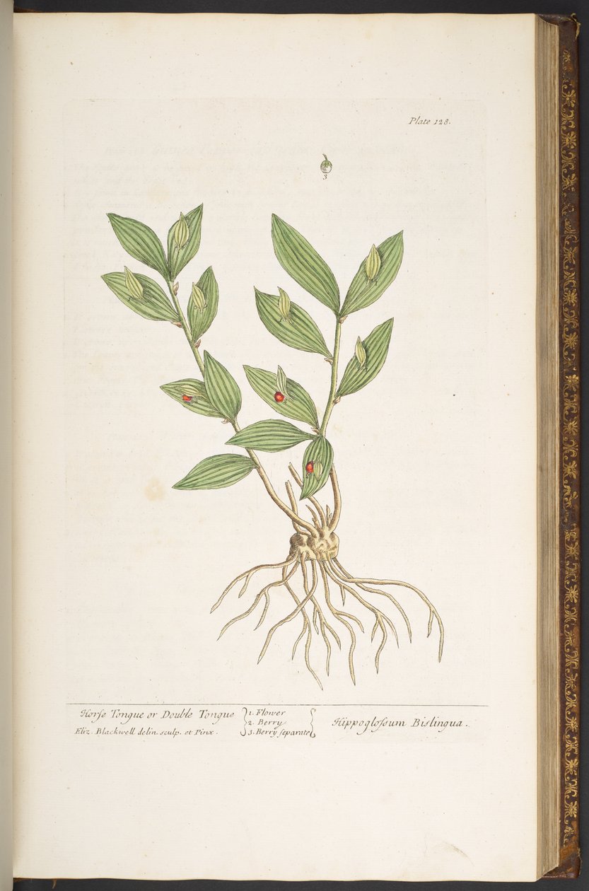 Tavola 128, da 