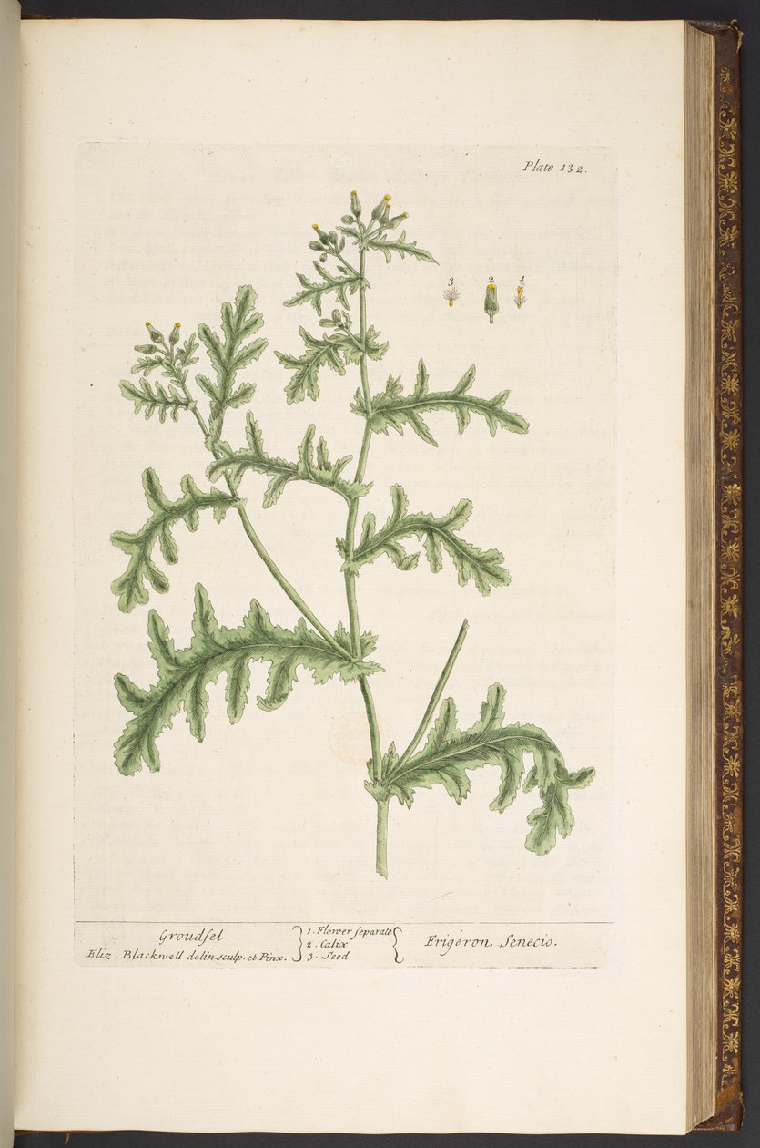 Tavola 132, da 