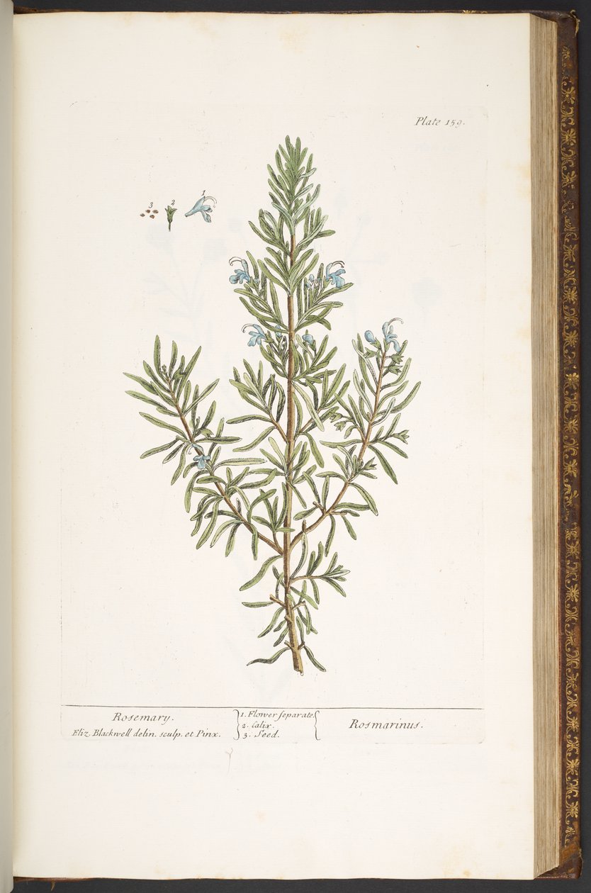 Tavola 159, da 