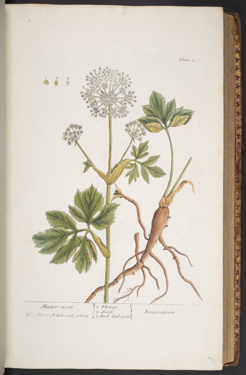 Tavola 279, da 