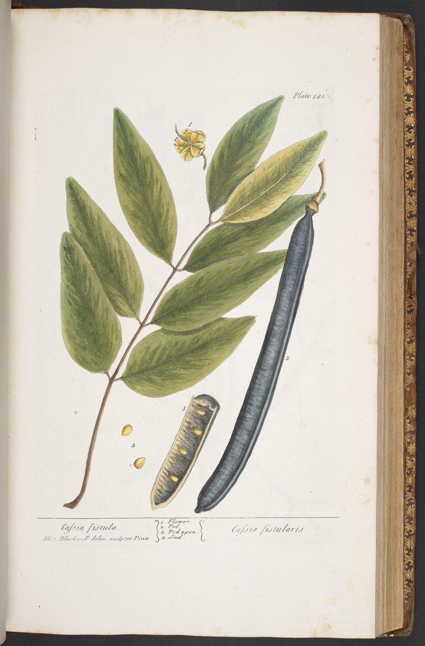 Tavola 381, da 