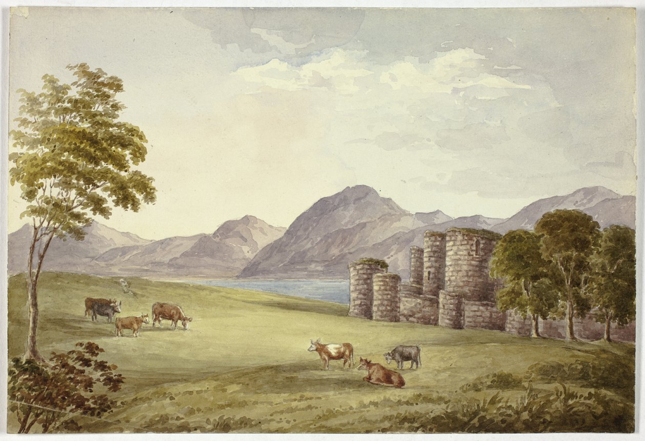 Castello di Beauman da Elizabeth Murray