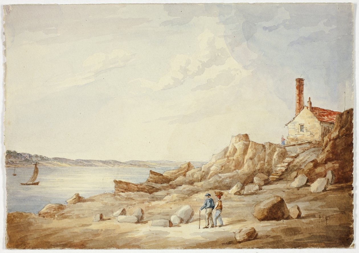 Costa rocciosa da Elizabeth Murray