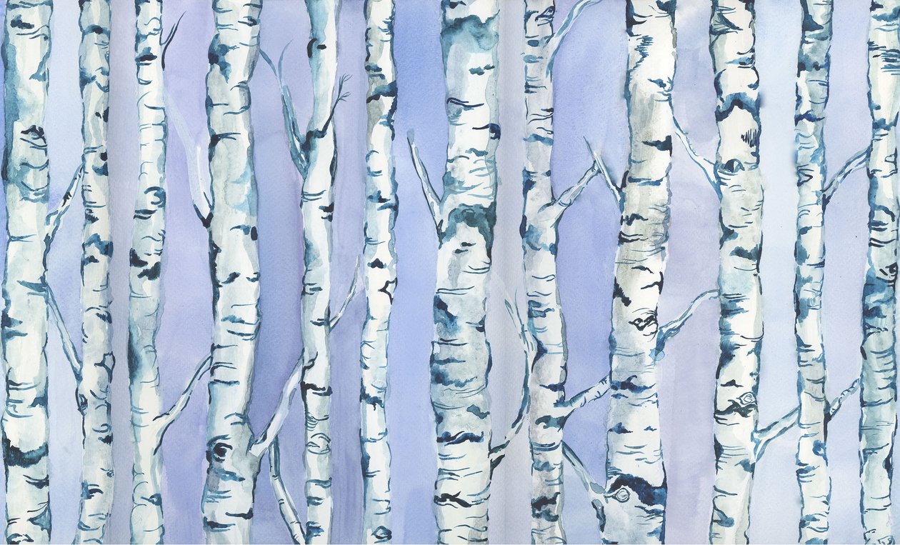 Foresta di Silverbirch, 2018 (acquerello e acrilico) da Elizabeth Rider