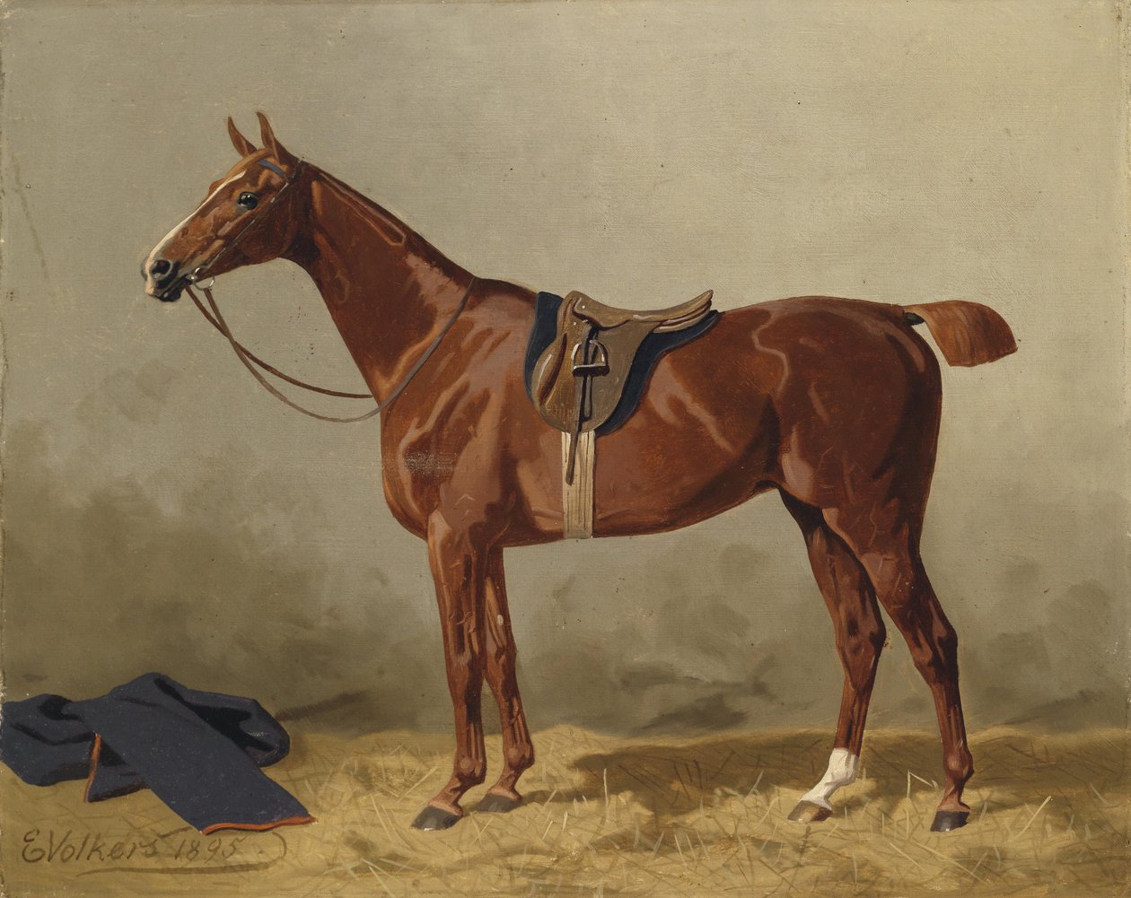 Cavallo sportivo sellato da Emil Volkers