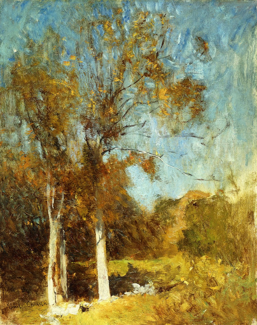 Alberi d